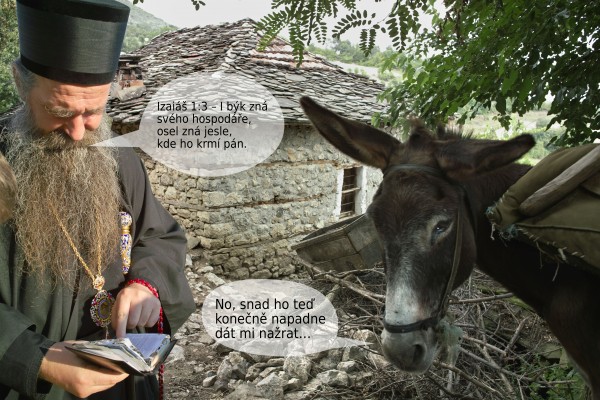 Pop: Izaiáš 1:3 – I býk znásvého hospodáře,osel zná jesle,kde ho krmí pán. Osel: No, snad ho teďkonečně napadnedát mi nažrat…