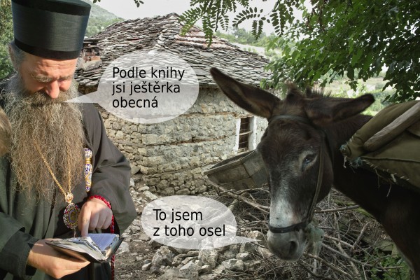 Pop: Podle knihyjsi ještěrkaobecná Osel: To jsemz toho osel