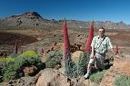 Tenerife